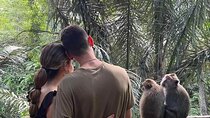 Ubud culture,art and nature tour.