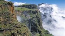 Cape Town: 3 Day Garden Route & Botlierskop Game Reserve Tour