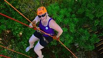Underground Cenote (Rappel & ZipLine) and Snorkeling Experience in the Lagoon!