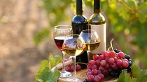 Luxury Private Arrábida Tour and Bacalhoa Palace with exclusive Wine taste
