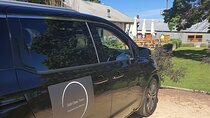 McLaren Vale Full Day Tour