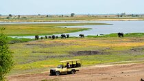 3 Days in Victoria Falls & Chobe National Park Combo