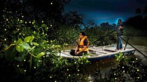 Magical Fireflies Tour