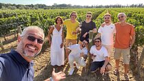 Siena and San Gimignano Tour from Florence