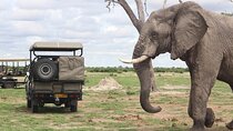 Chobe National Park Day Trip from Victoria Falls with Lunch