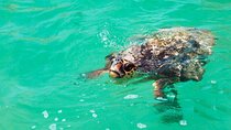 Eco Tour at Sian Kaan Biosphere! Round Transportation from Cancun