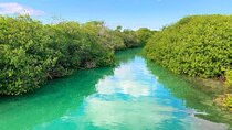 Sian Kaan Experience, Round Transportation from Cancun & Playa Del Carmen