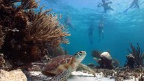 Sian Kaan Biosphere, Nature Eco Reserve! From Playa Del Carmen & Cancun