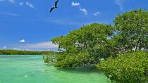Nature Day, Sian Kaan Biosphere Tour! Round Transportation from Tulum City