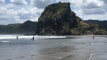Piha Beach 