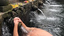 Bali Swing Ubud Hot Spring Waterfall Private Tour Free WiFi 