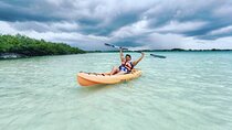 Bacalar Lagoon Tour! Kayak & Cenote Azul + Round Transportation From Cancun