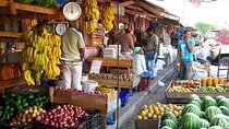 Half-Day Cultural Safari Tour from Uvero Alto