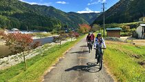 Half Day Private Rural E-Bike Tour in Hida