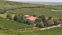 Private Romanian Wine Tasting in Urlați
