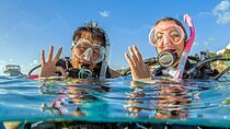 PADI Open Water Diver Course