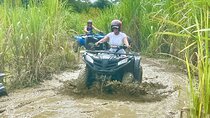 ATV Full Day Off Road Jungle Ride and sunset from Trelawny with Pick Up
