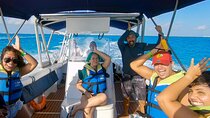 Swim Adventure with Whale Sharks in the Caribbean Sea from Riviera Maya & Cancún
