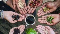Day trip to Maasai village + Materuni waterfalls and coffee tour 