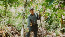 Costa Rica Wildlife, Nature and Cultural Immersion - 10 days Private Tour