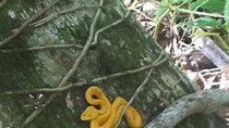 Tropical Hike in the Gandoca-Manzanillo wild life Refuge