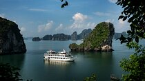Swan Cruises: Bai Tu Long Bay 2 days 1 night (Deluxe room)