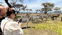 Day Tour to Crescent Island in Naivasha