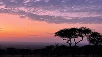 Big Five Dream Safari
