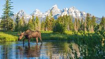 Private 8-Hour Grand Teton Adventure