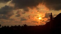 Direct Transfer from Cahuita to San Jose, English Speaking Driver