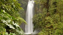 Private Transfer From San Jose to Cahuita With 2 Stops