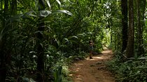 Exclusive Bird watching Private Tour With Accomodation
