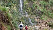Incredible Table Mountain Guided Day Hike or Trail Run
