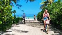 Full-Day Adventure in Holbox Punta Mosquitos from Cancún