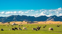 Essence of Mongolia 4 Days