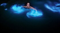 Luminous Lagoon from Montego Bay 