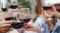 Wine Experience In Chianti Hills from Florence