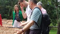 Coffee & Macadamia Fincas Tour 