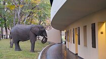 Hwange National Park Full Day from Victoria Falls