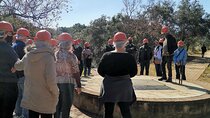 Half Day Cradle of Humankind Tour 
