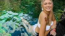 Discover Cenotes Casa Tortugas & Tulum Ruins Adventure from Cancún