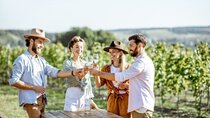 Private Luxury Hunter Valley Tour - up to 7 guests