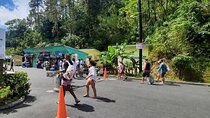 Mud bath and Waterfall with Snorkeling at Sugar beach