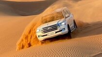 Desert Safari with BBQ Dinner, Dune Bashing & Live Shows