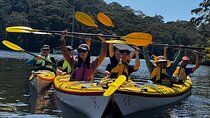 Sydney's Middle Harbour Sea Kayaking Eco Tour (Fully Guided)