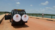 Mabamba Swamp Tour