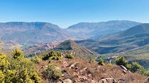 Atlas private day tour and Berber experience