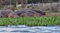 Day Tour To Hell's Gate National Park and Optional Boat Ride on Lake Naivasha.