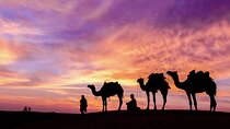Marrakech To Fez 3 Days 2 Overnights Desert Tour