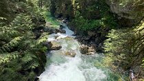 Vancouver Rainforest Hike with Waterfalls, Suspension Bridge, Old Growth Forest